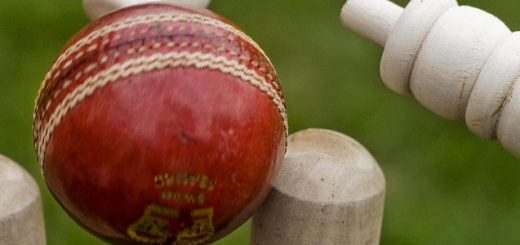 Cricket Stock Photo