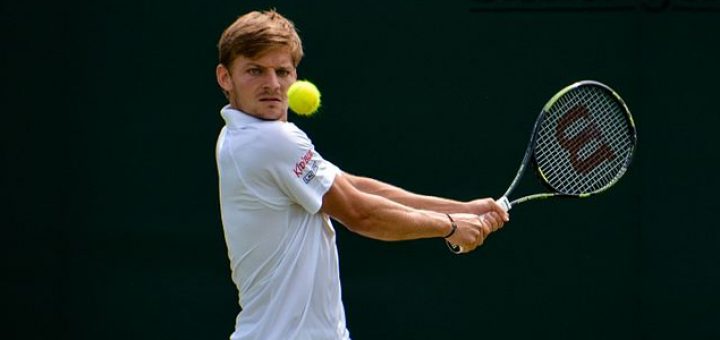 David Goffin